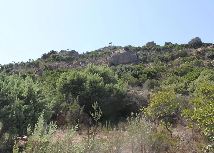 Villa Vera