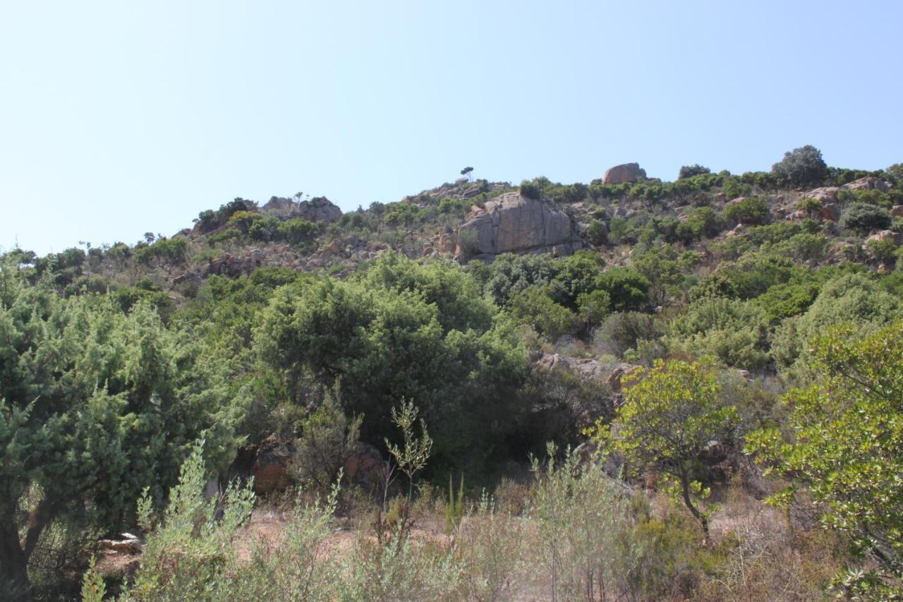 Vera * Cala Liberotto