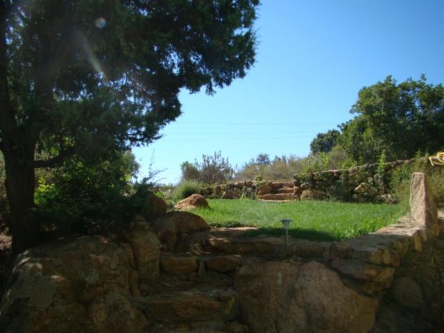 Holiday home Vera Cala Liberotto