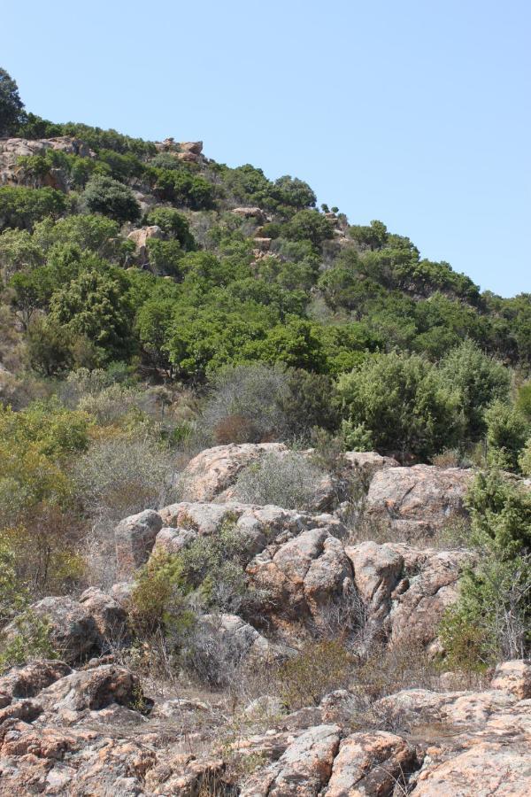 Holiday home Vera Cala Liberotto