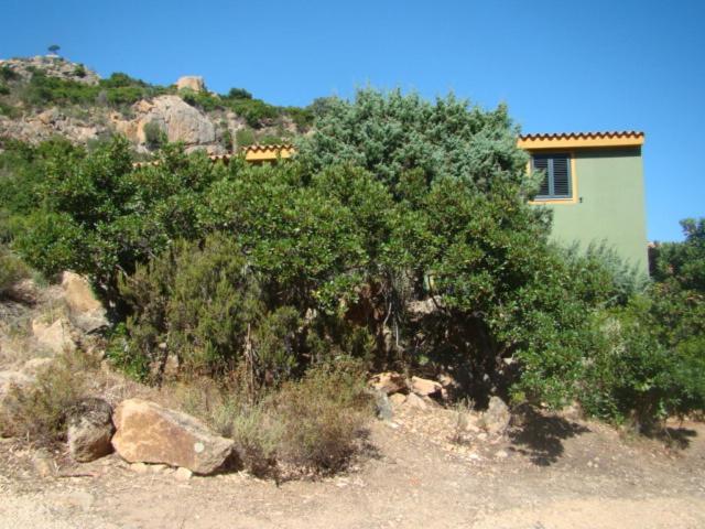 Holiday home Vera