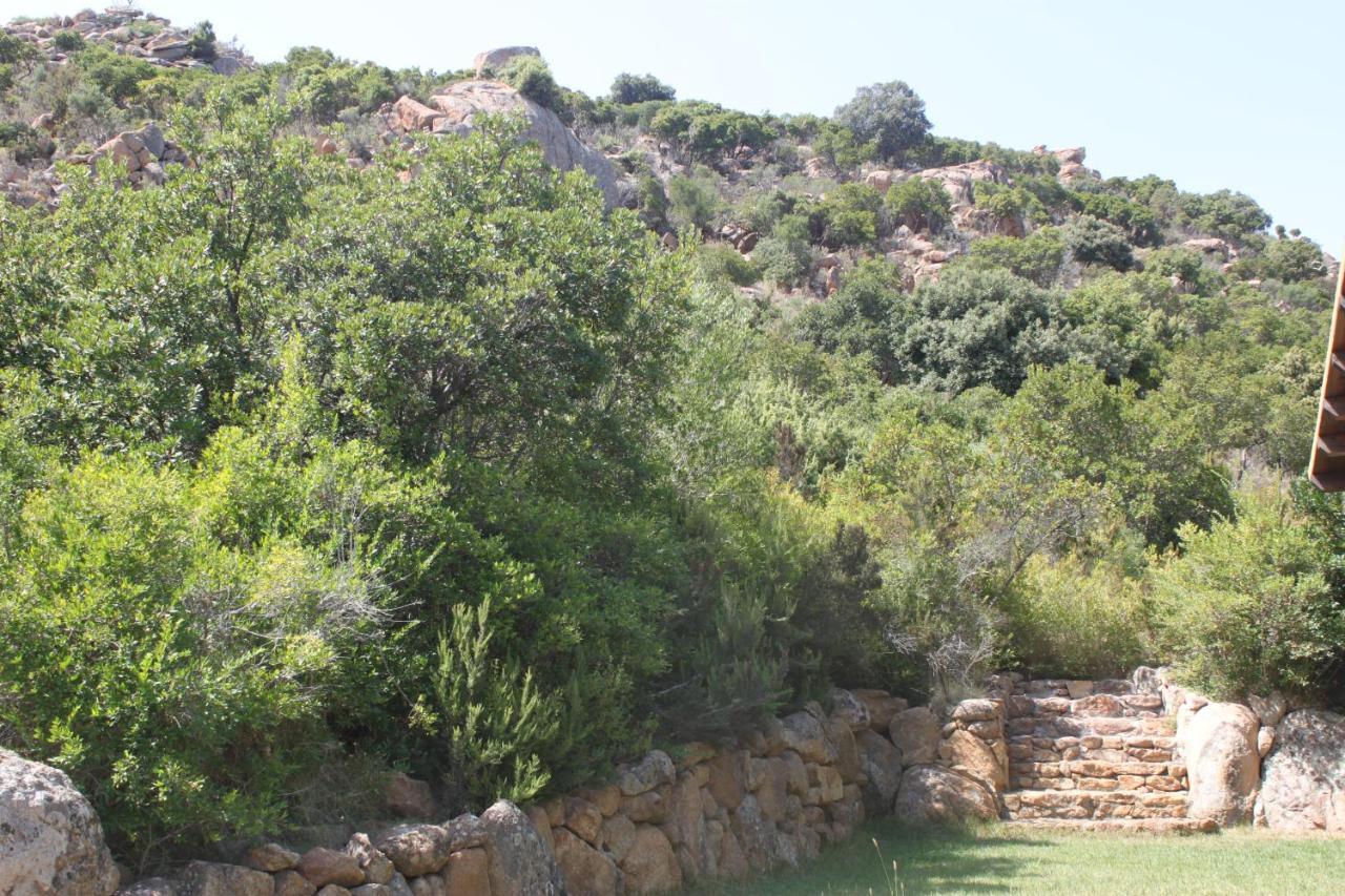 Holiday home Vera Cala Liberotto