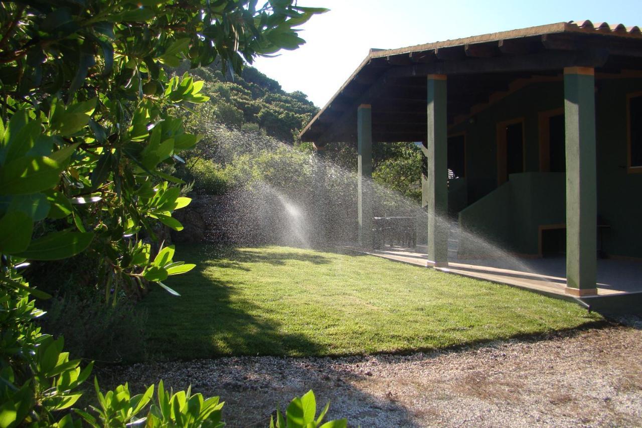 Vera Holiday home