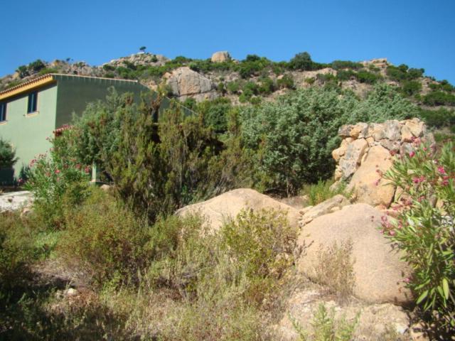 Vera Holiday home